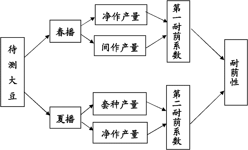 Method for detecting shade tolerance of soybeans