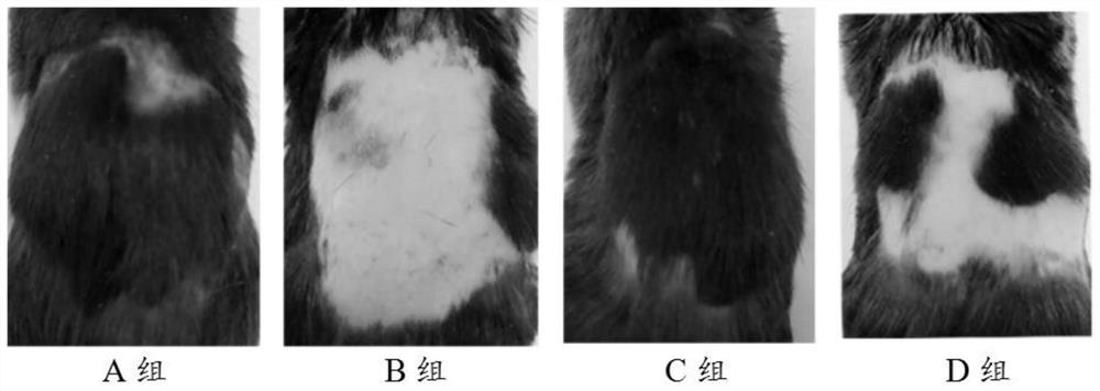 A nano composition containing diaminopyrimidine oxide and pyrrolidinyl diaminopyrimidine oxide, its preparation method and application