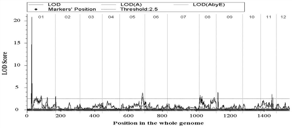 SNP (Single Nucleotide Polymorphism) molecular marker KQ8-3918 linked with gene for controlling Vc content of pepper fruits, application and special primer