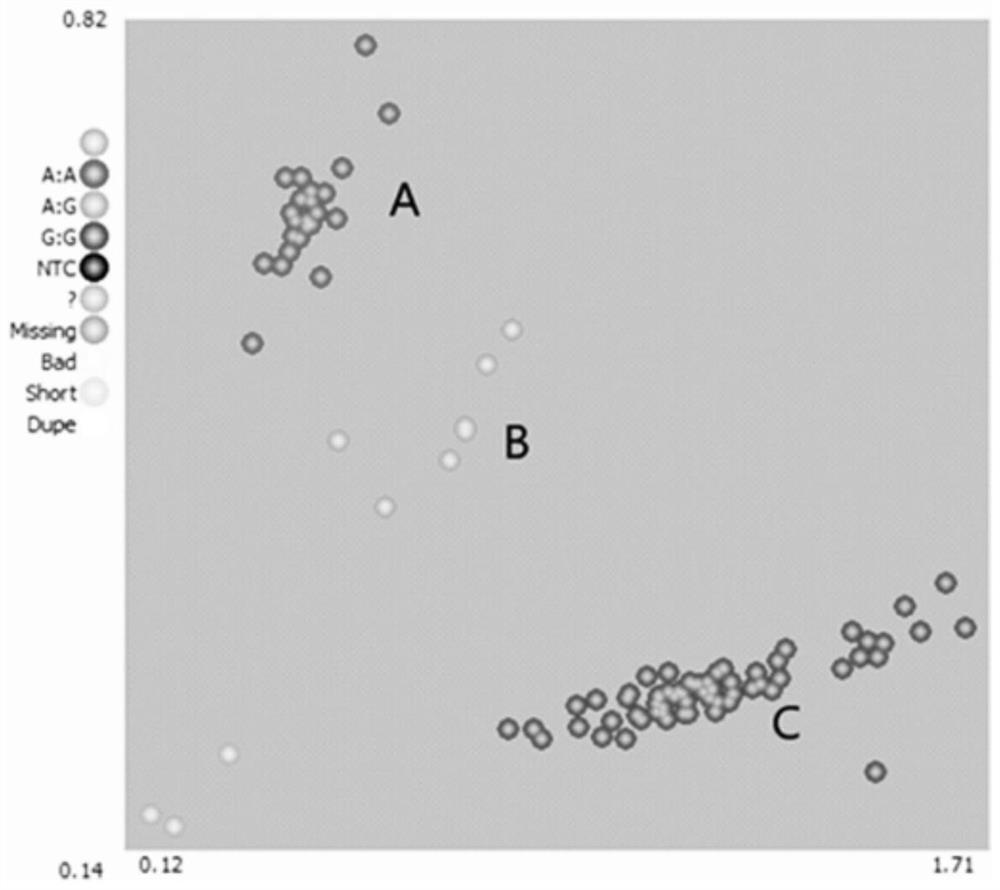 SNP (Single Nucleotide Polymorphism) molecular marker KQ8-3918 linked with gene for controlling Vc content of pepper fruits, application and special primer