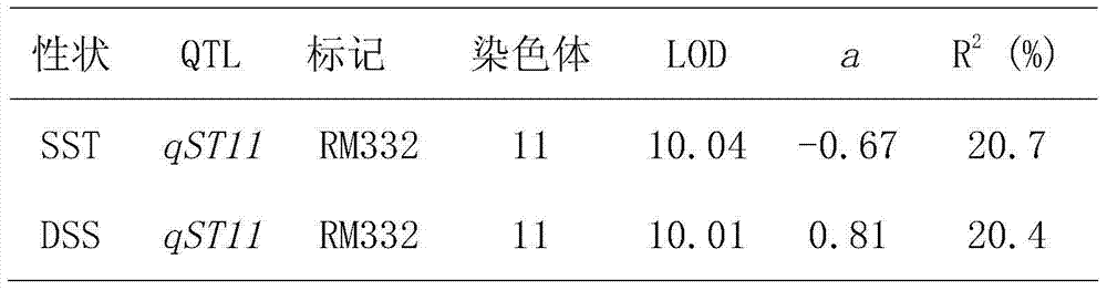 Rice seedling-stage salt-tolerant gene qST11 and molecular marker method thereof