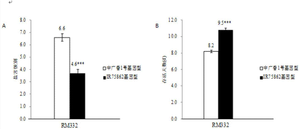 Rice seedling-stage salt-tolerant gene qST11 and molecular marker method thereof