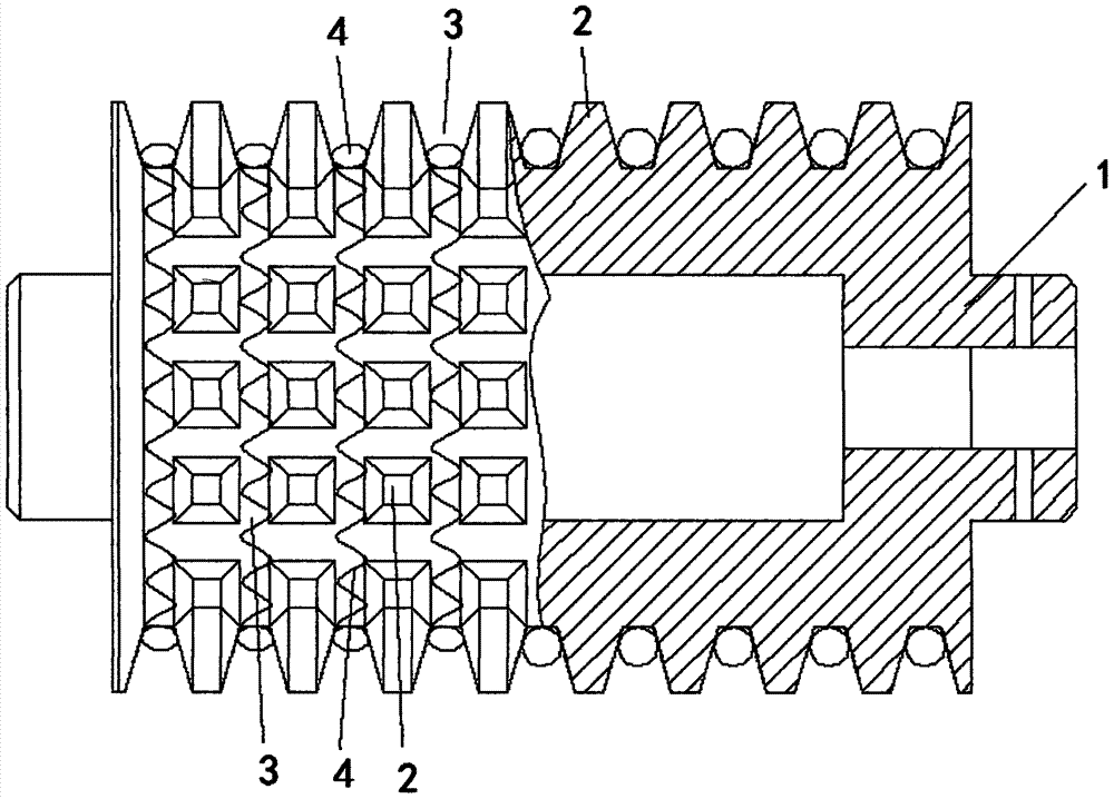 A toothed roller and a pressure roller for stripping fiber crops