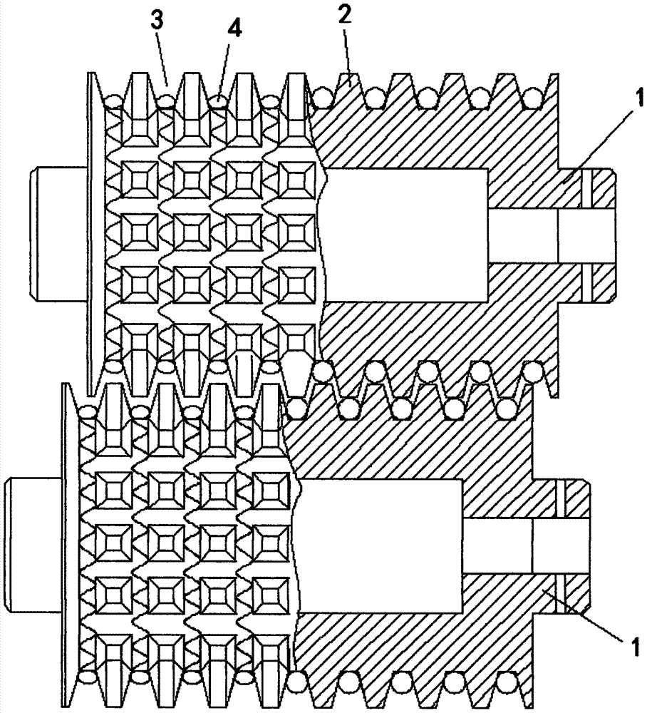 A toothed roller and a pressure roller for stripping fiber crops