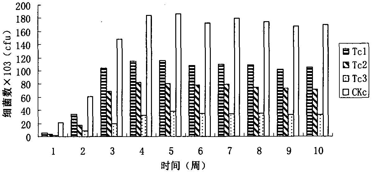 Lactobacillus casei bacteriocin and use thereof in feed