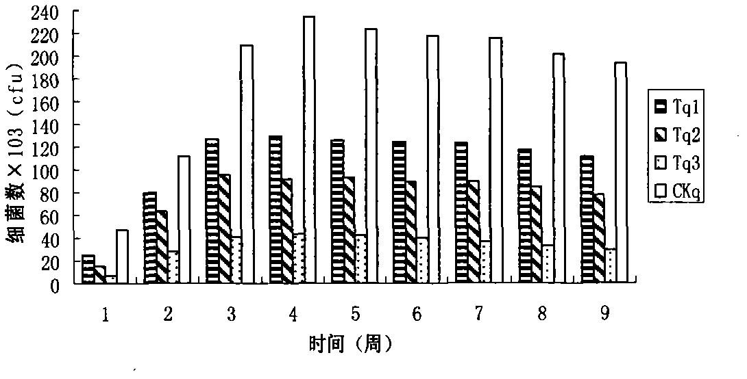 Lactobacillus casei bacteriocin and use thereof in feed