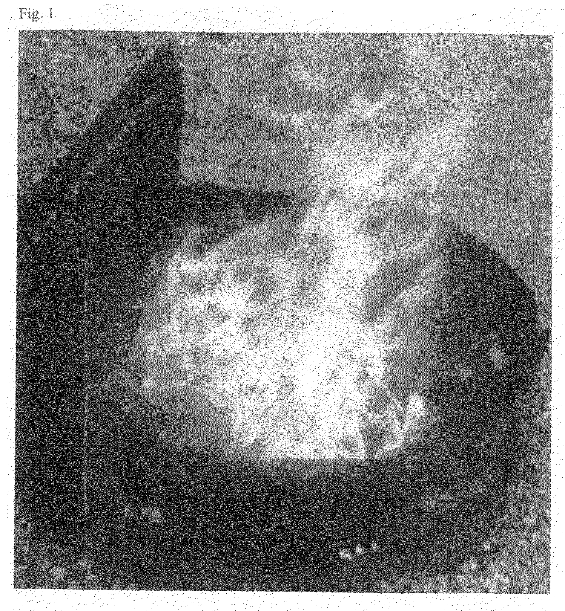 Methods and compositions for extinguishing fires using aqueous gelled fluids