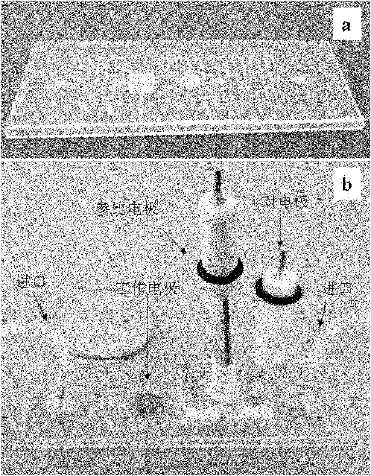 Method for producing photoelectrochemical microfluidic detection chip of three-electrode system