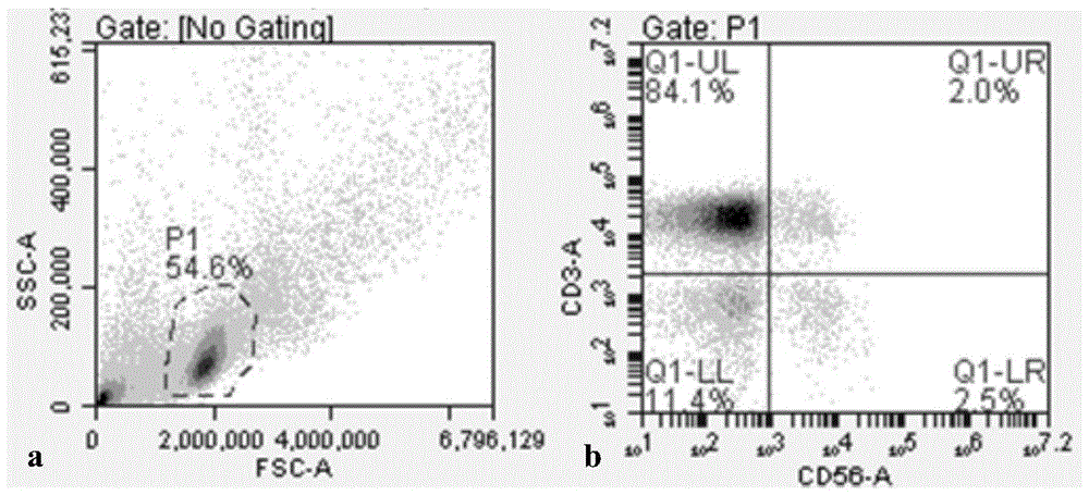 Freezing method of immune cells