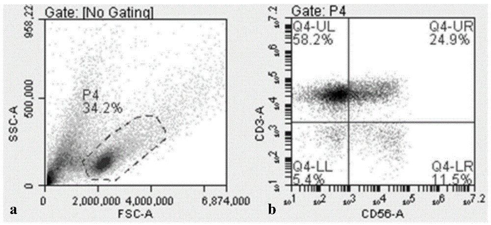 Freezing method of immune cells