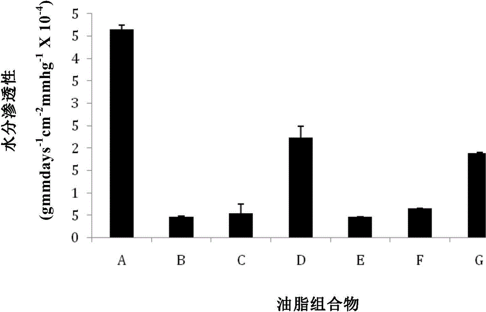 Oil composition and preparation method thereof