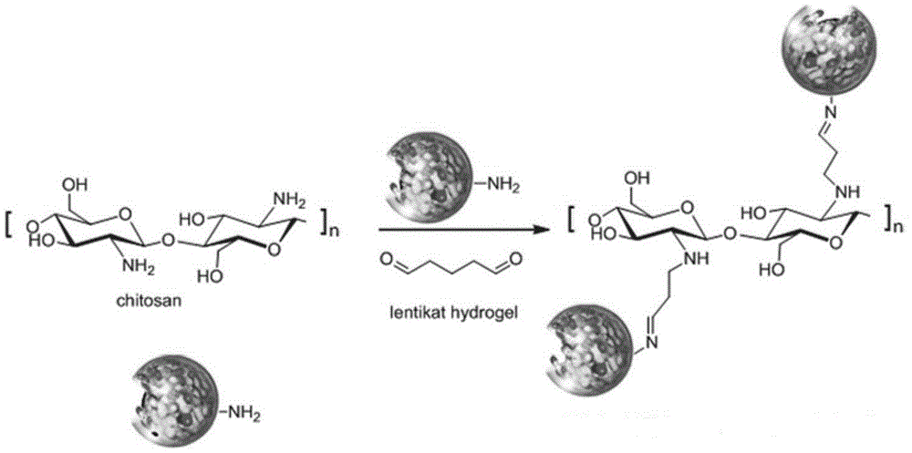 Immobilized transaminase and applications thereof in synthesizing of Sitagliptin intermediate