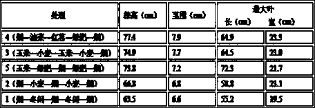 Rotation method for increasing tobacco land output value