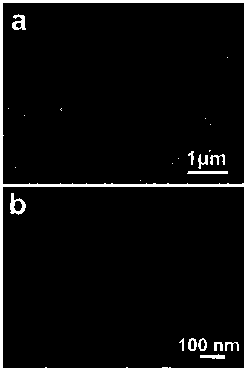 Novel bionic surface-enhanced Raman spectrum base and preparation method thereof