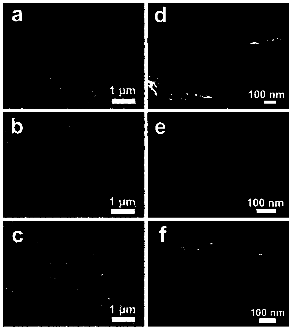 Novel bionic surface-enhanced Raman spectrum base and preparation method thereof