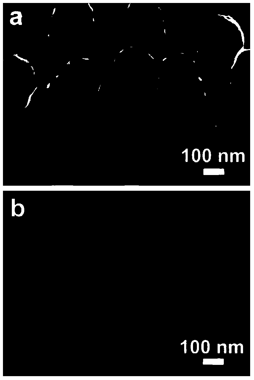 Novel bionic surface-enhanced Raman spectrum base and preparation method thereof