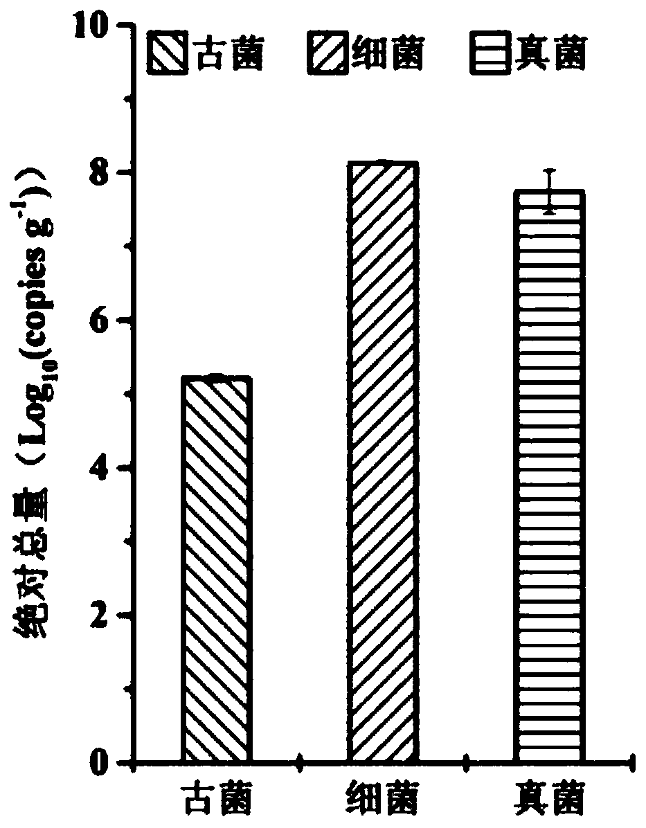 High-throughput absolute quantification method for three-domain microorganisms in soil