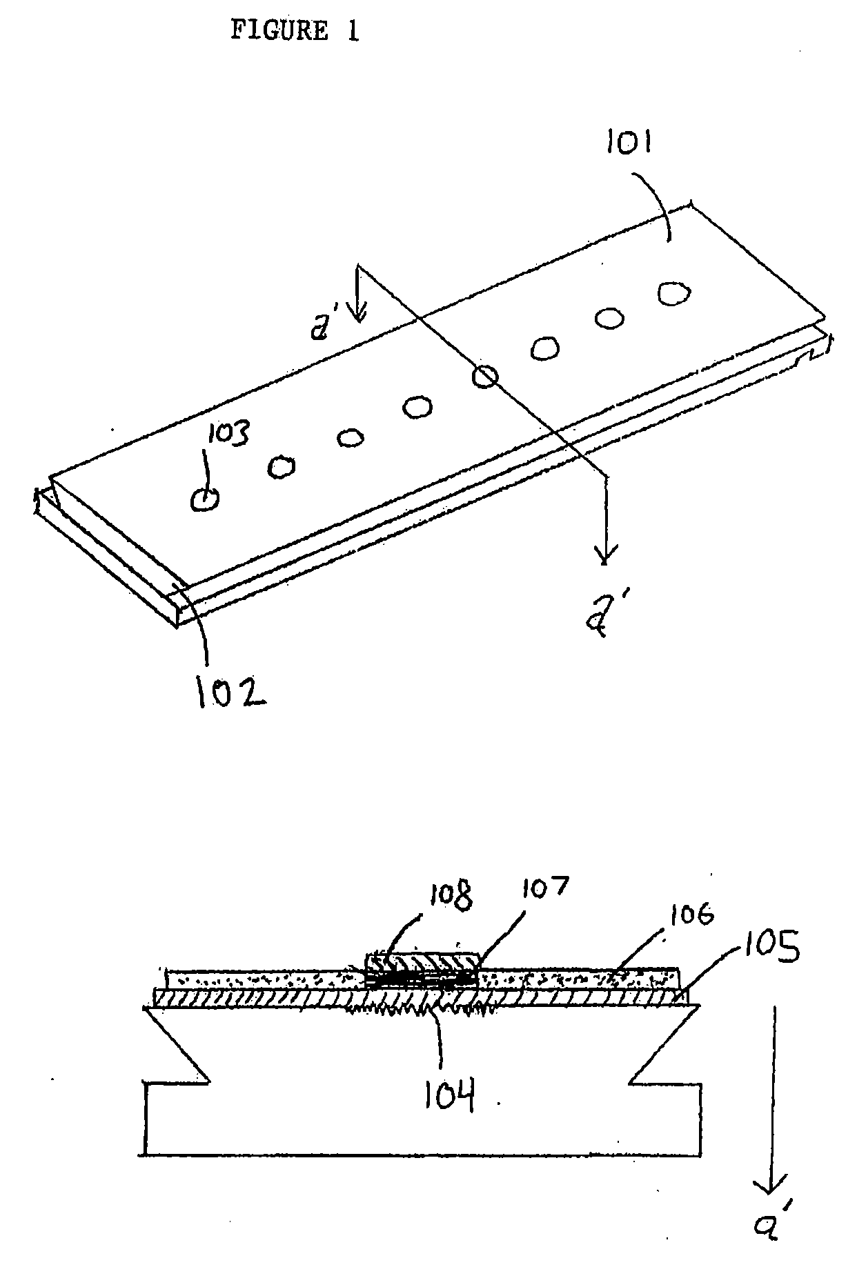 Mass spectrometry probes having hydrophobic coatiings