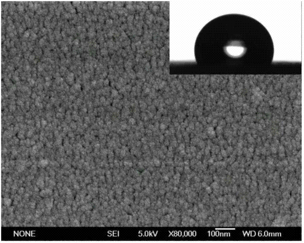 A kind of preparation method of hydrophobic porous separation membrane