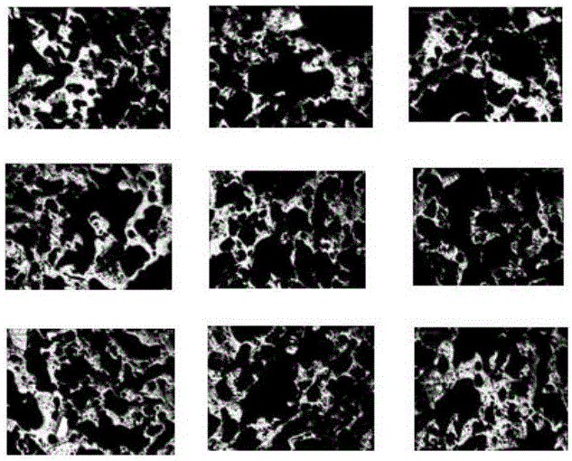 Coke microscopic structure analysis method based on microscopic-level panoramagram