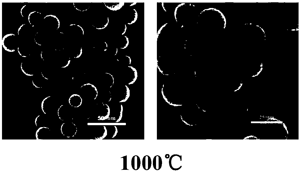 Capacitor electrode and preparation method based on nitrogen-sulfur co-doped porous carbon microsphere material