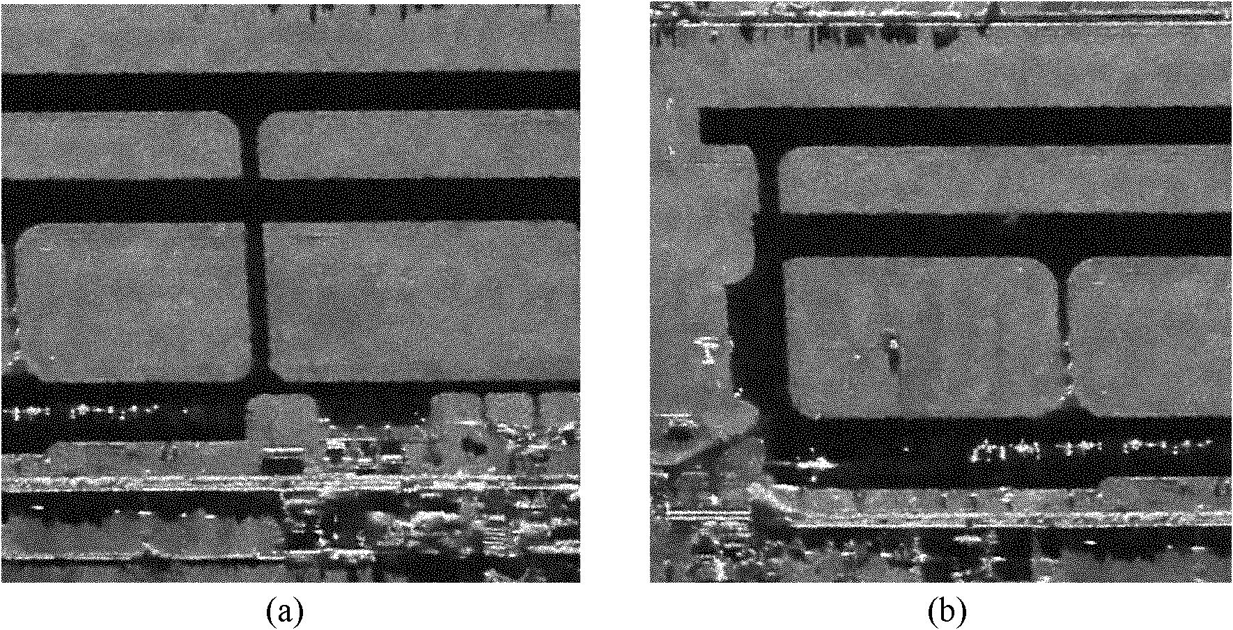 Level set method for edge detection of SAR images of airport roads