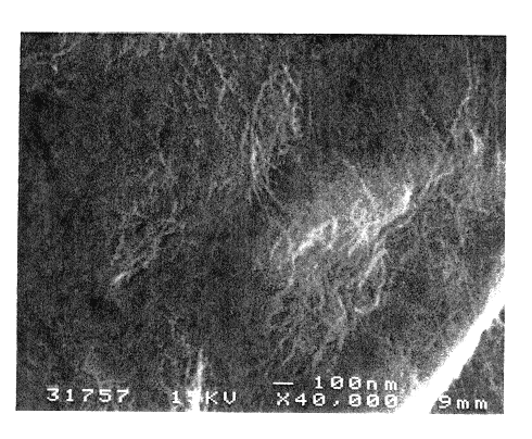 Fibril composite electrode for electrochemical capacitors