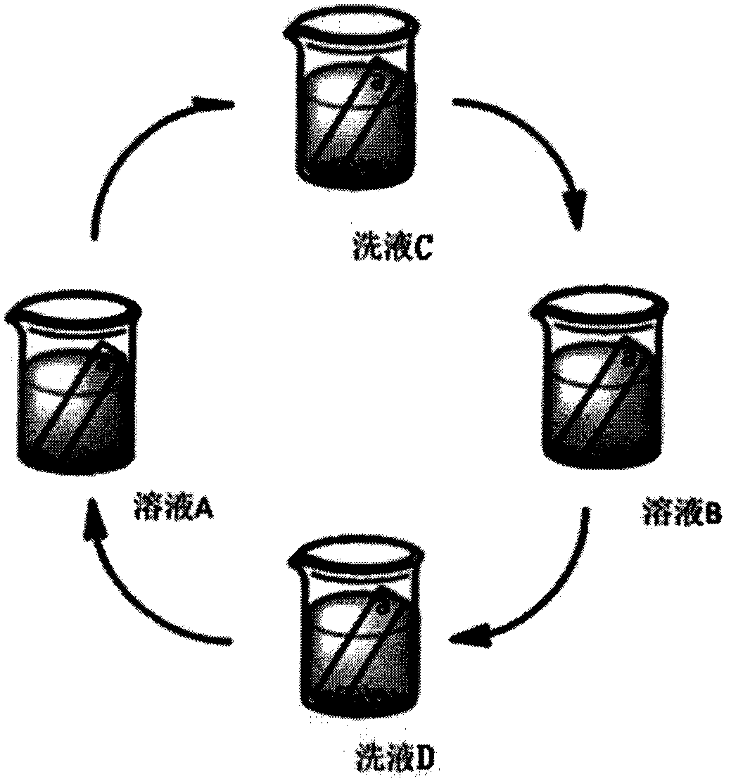 Composite ceramic scaffold and preparation method thereof