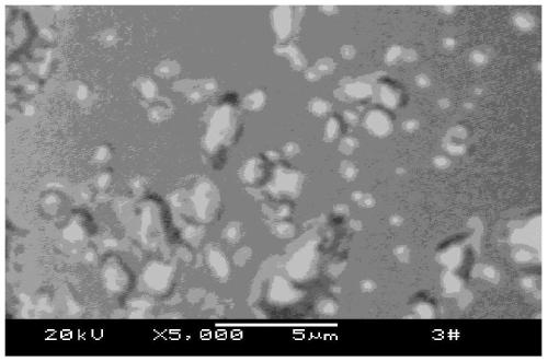 A kind of environment-friendly flame-retardant plastic masterbatch that prevents blowout frost precipitation and its preparation method