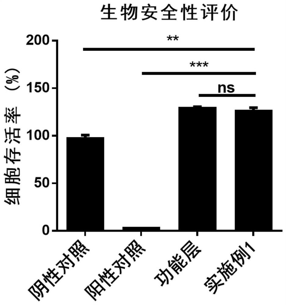 Antibacterial healing-promoting functional dressing and preparation method thereof