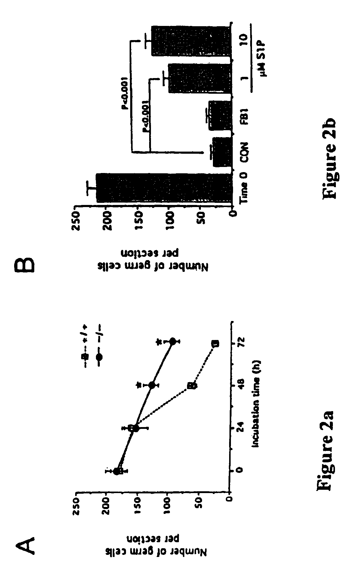 Protection of the female reproductive system from natural and artificial insults