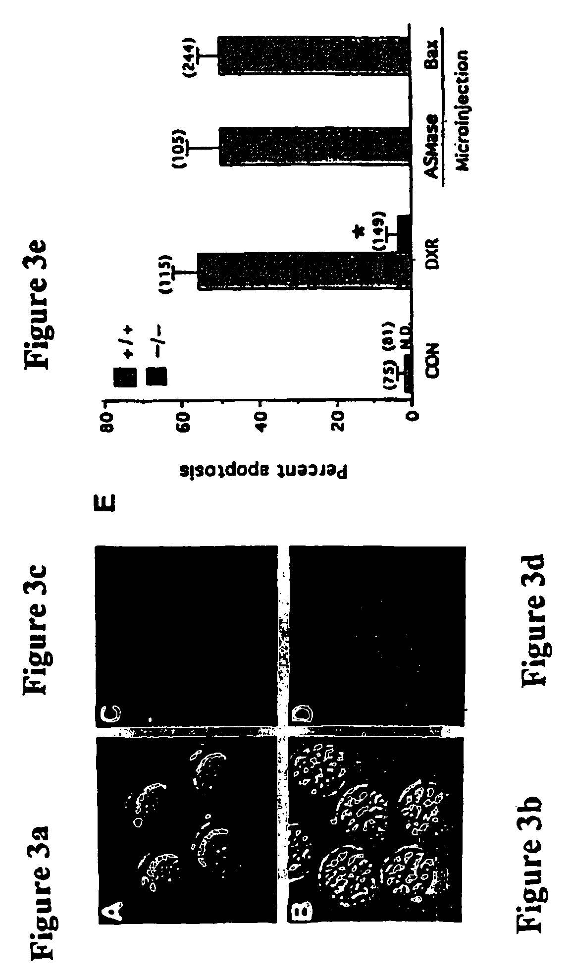 Protection of the female reproductive system from natural and artificial insults