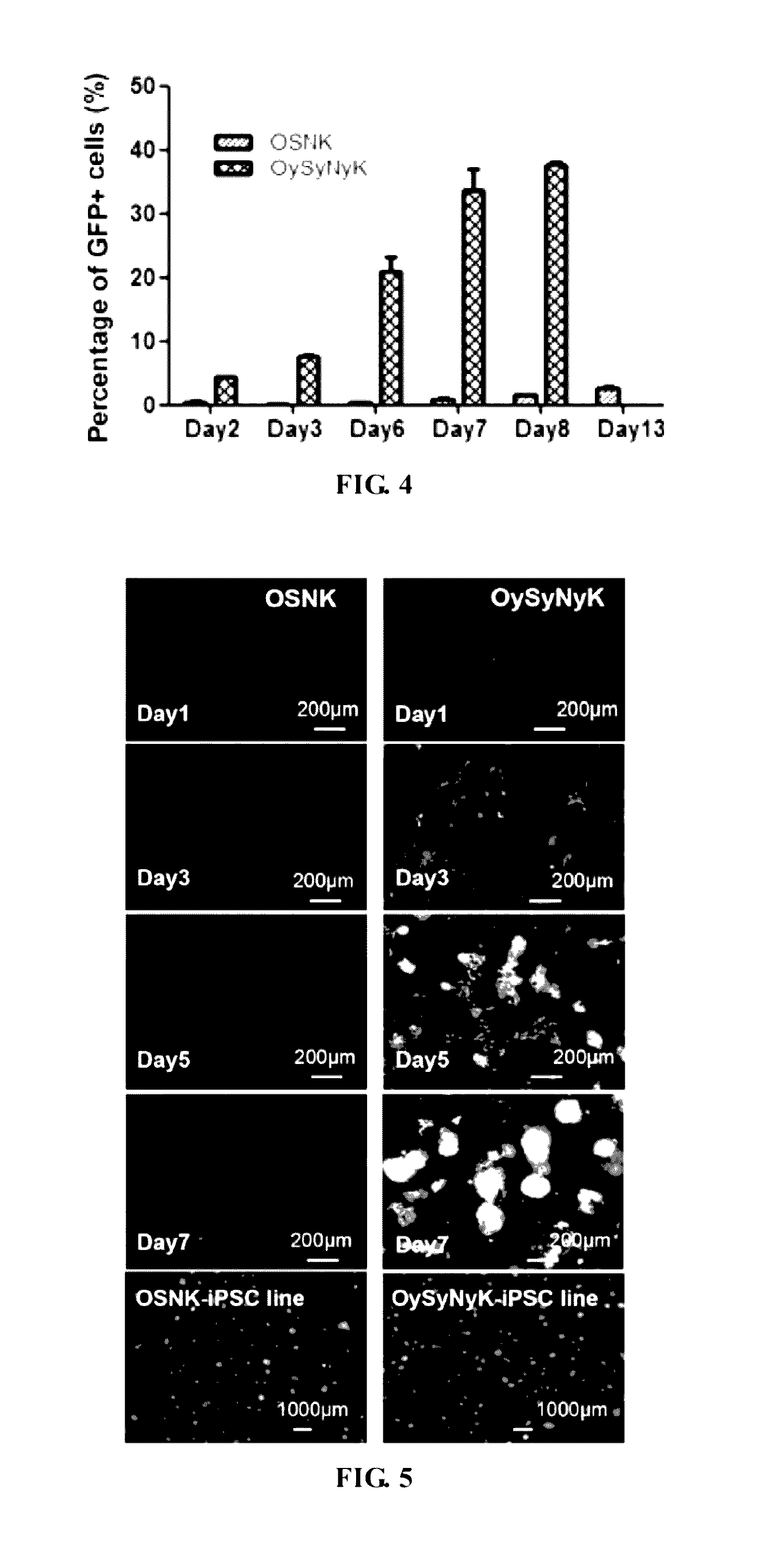 Fusion protein for inducing pluripotent stem cells and application method thereof