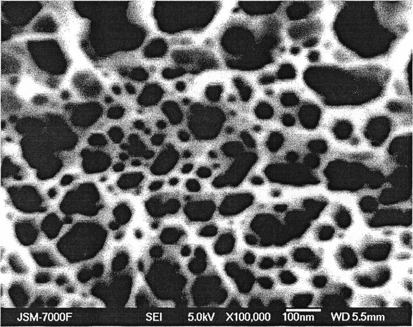 Method for preparing GaN substrate with porous surface and GaN substrate prepared by using the method