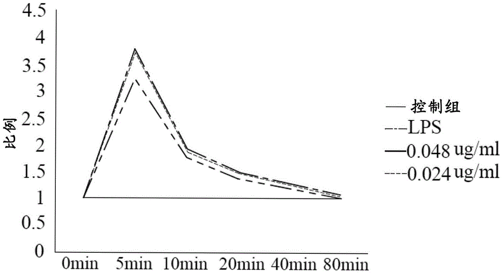 Application of antrodia camphorata compound in preparation of drugs for treating kidney diseases