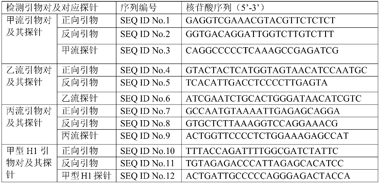 Nucleic acid composition, detection kit for influenza virus and micro-fluidic chip