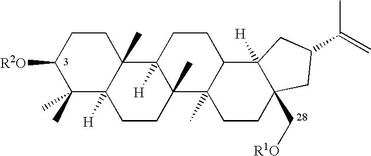 Hair and skin protecting compositions based on esters or ethers of betulin