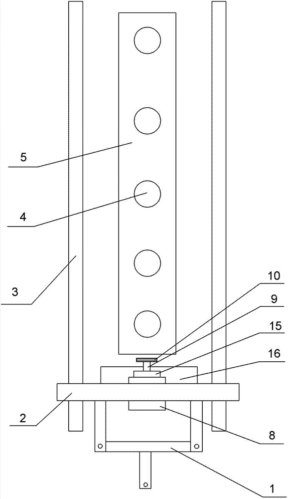 Cultivating method for kiwifruit through rootstock grafting