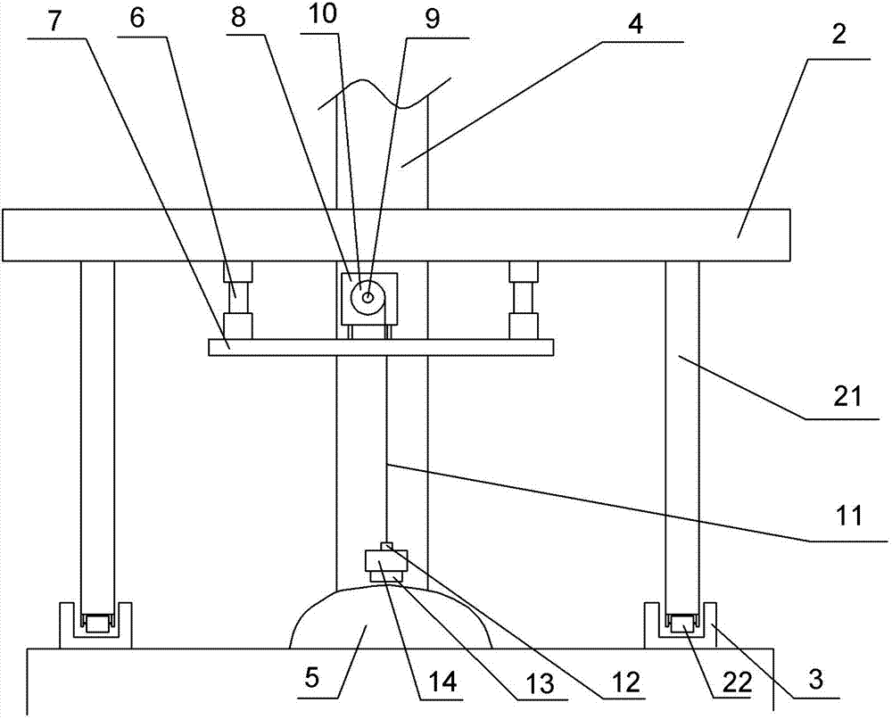 Cultivating method for kiwifruit through rootstock grafting