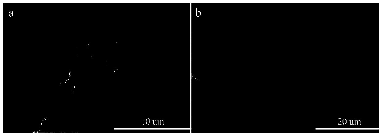 Silicon-carbon composite material and preparation method thereof, and application of silicon-carbon composite material