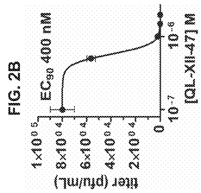 Host targeted inhibitors of dengue virus and other viruses