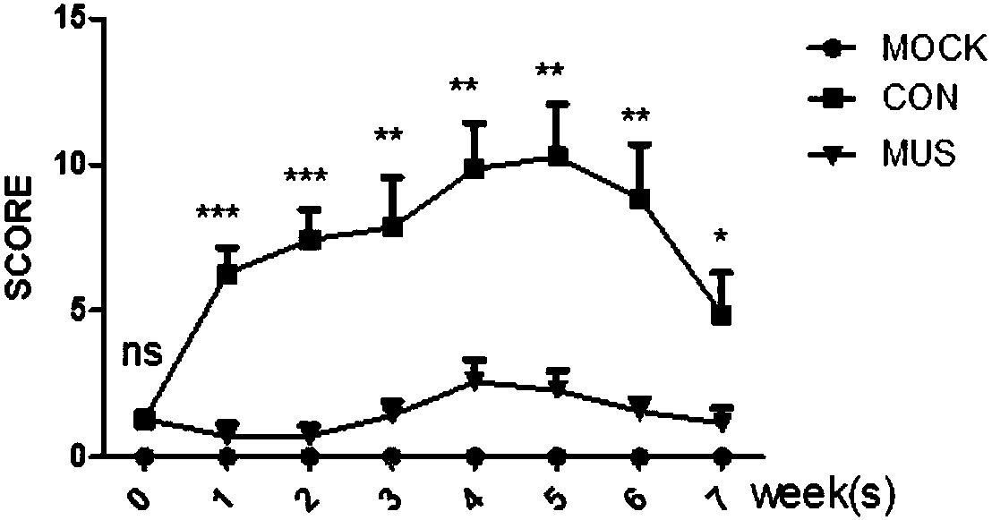 Medicine for treating rheumatoid arthritis and uses thereof