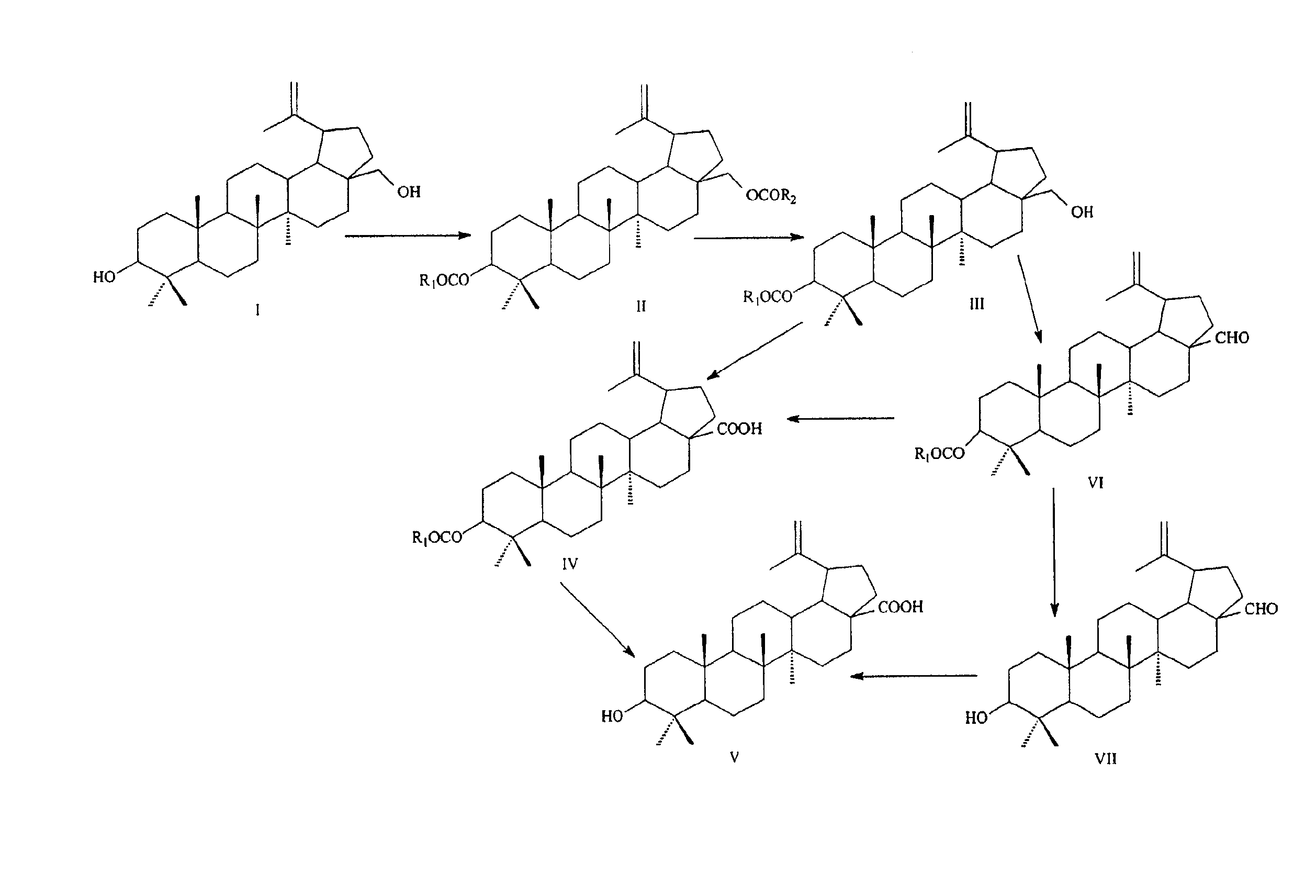 Methods for manufacturing betulinic acid