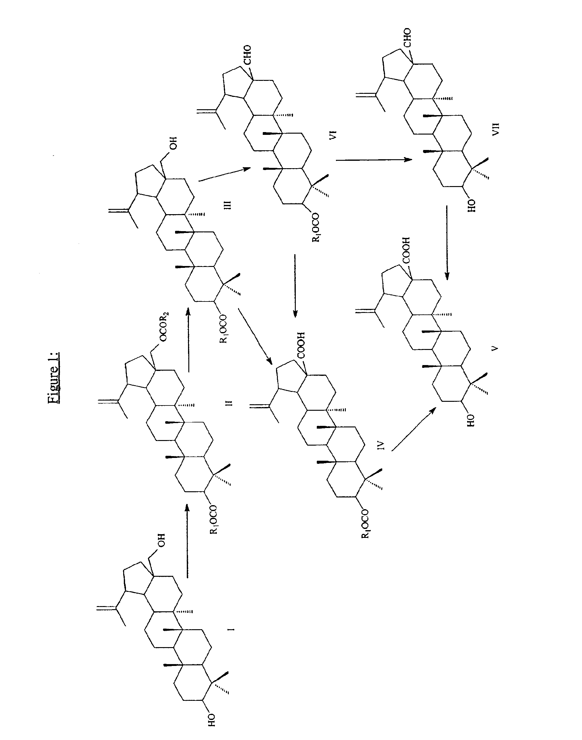 Methods for manufacturing betulinic acid