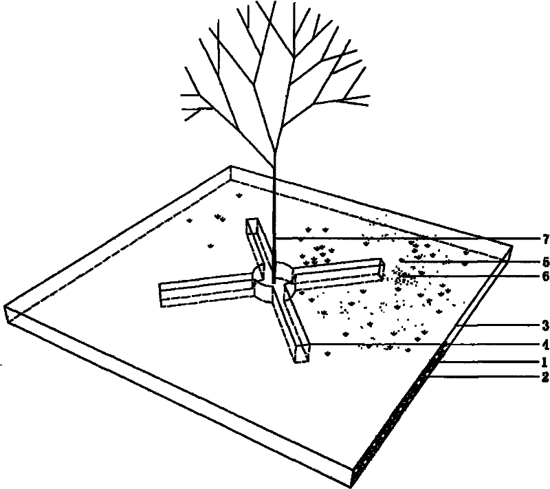 Construction method of grass-shrub mixed ecological hard vegetation module