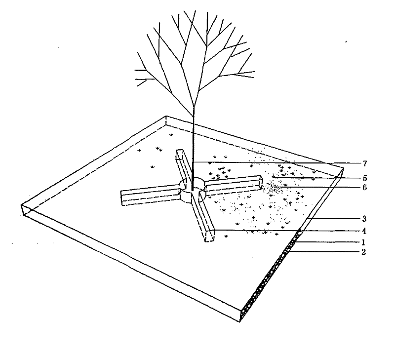 Construction method of grass-shrub mixed ecological hard vegetation module