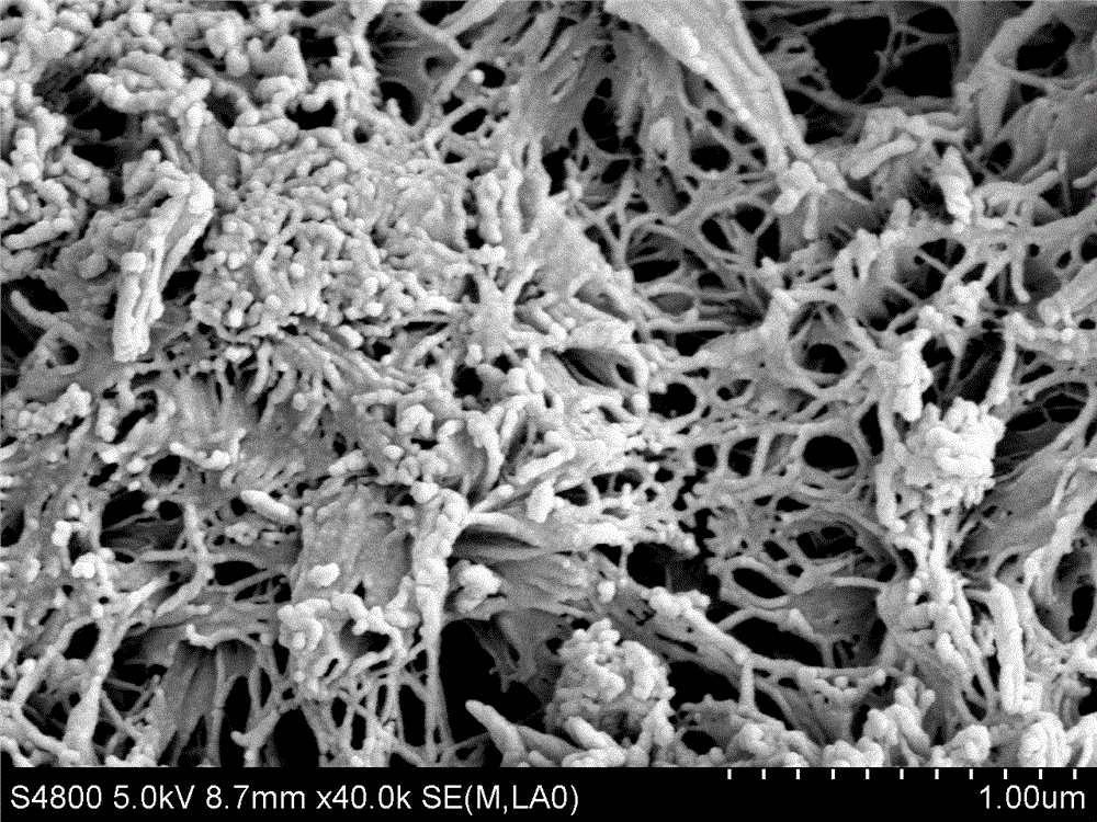 Comprehensive utilizing method for fluorine-containing silicon dioxide