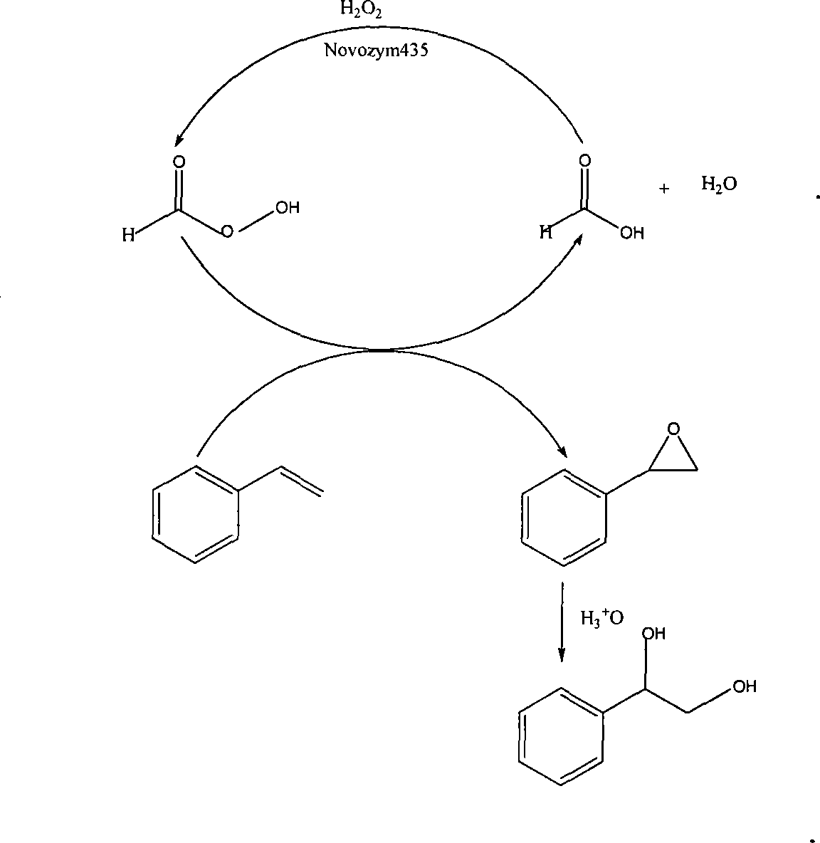 Method of lipase-catalyzed preparing 1-phenyl-1, 2-ethanediol