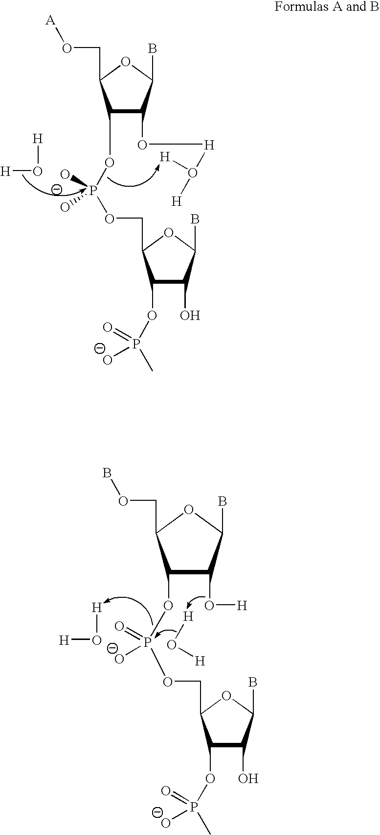 Rnase h-based assays utilizing modified RNA monomers