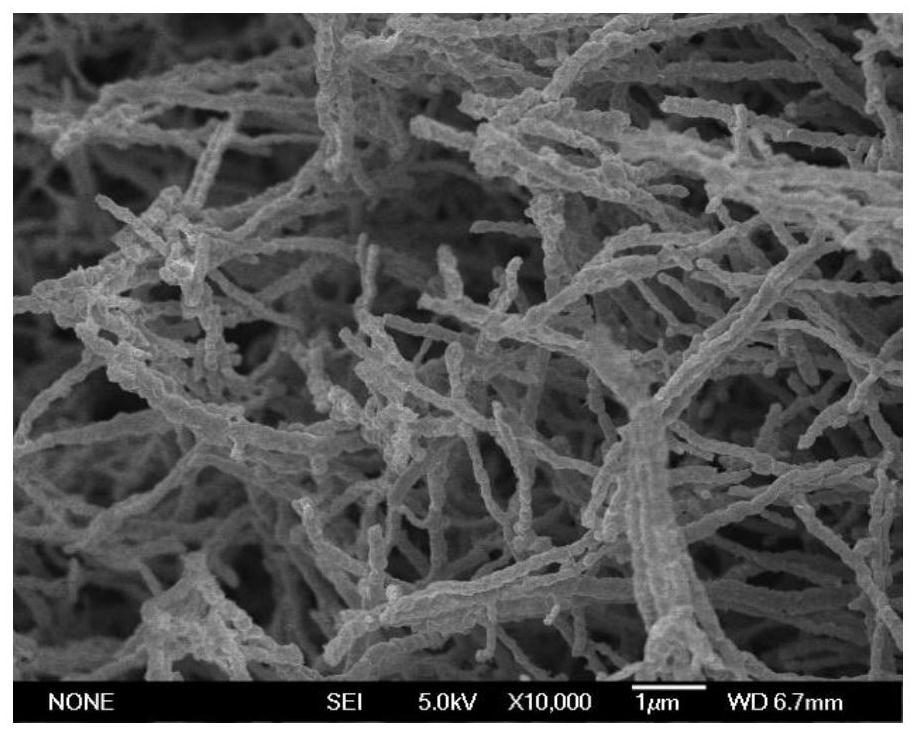 Core-shell-shaped copper selenide and ferronickel hydrotalcite electrocatalyst and preparation method and water electrolysis application thereof